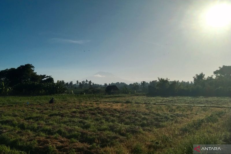 BMKG Ungkap Bali Sudah 123 Hari Tanpa Hujan