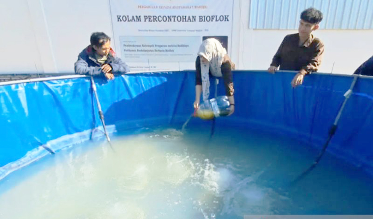 Canggih, UTM Bawa Teknologi IoT dan Bioflok ke Desa, Urus Kolam Lele Kini Cukup Lewat Ponsel