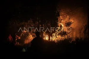 Karhutla yang  Belum Padam Tersisa Seluas 96,07 Hektare