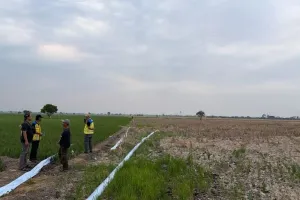 Kekeringan di Bekasi, Kementerian PU Operasikan Tiga Pompa untuk Mengairi Sawah Warga