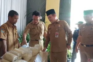 Kenapa Warga Bengkulu Diajak Makan Telur? Ini Alasan Pemprov