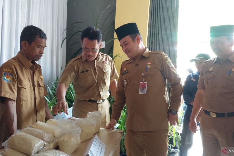 Kenapa Warga Bengkulu Diajak Makan Telur? Ini Alasan Pemprov