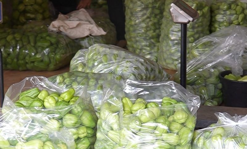 Pemkab Sumedang Dorong Petani Milenial Lewat Budidaya Lab...