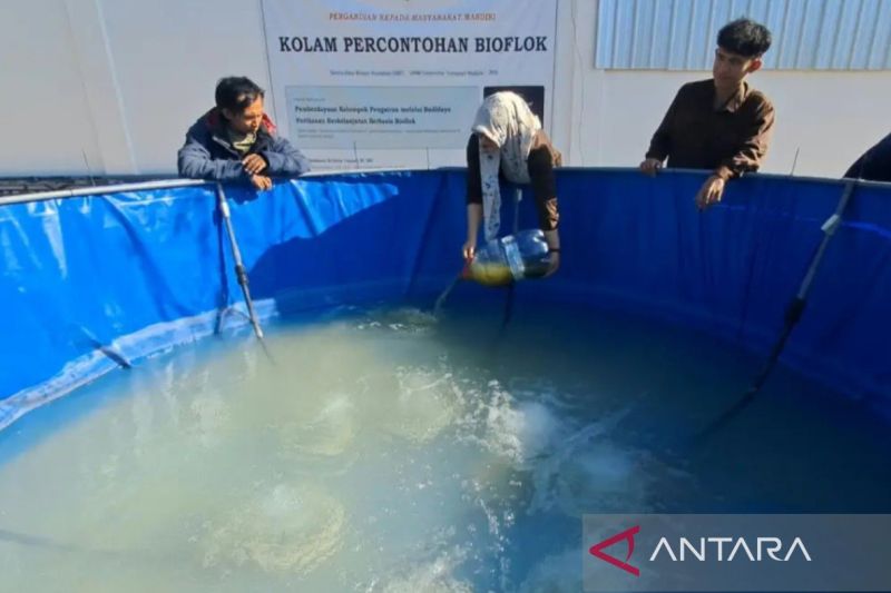 Teknologi Masuk Kolam Ikan! UTM Kembangkan Perikanan deng...