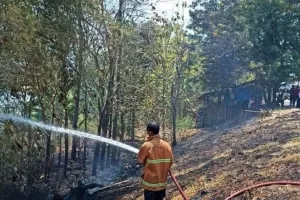 Tercatat 85 Kejadian Kebakaran Saat Musim Kemarau di Wilayah Madiun