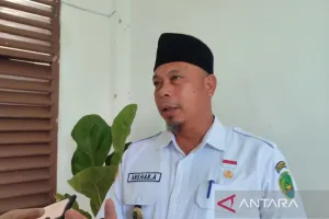 Bukan Dibakar! Pemkot Bengk...