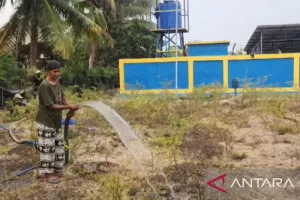 BWS Maluku Lakukan Pompanisasi, Selamatkan 12 Hektare Sawah di SBT dari Kekeringan.