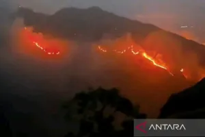 Delapan Bulan Terjadi 719 Kebakaran di NTB, Ini Penyebabnya