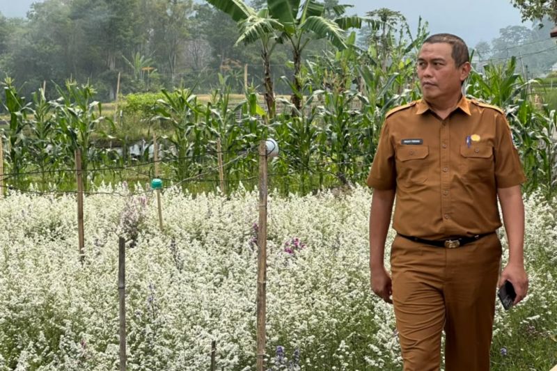 Hujan Mulai Turun, Dispertan Garut Berharap Sawah Kekerin...