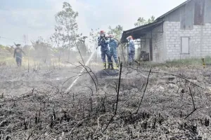 Kapitalisasi Nilai Ekonomi Jangka Pendek Lahan Gambut Merugikan Indonesia