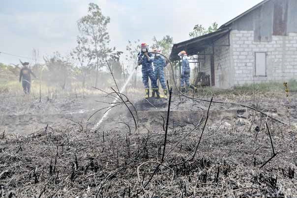 Kapitalisasi Nilai Ekonomi Jangka Pendek Lahan Gambut Merugikan Indonesia