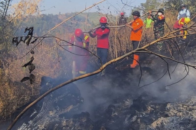 Karhutla 6 Hektare di Gowa Berhasil Dipadamkan Petugas Ga...