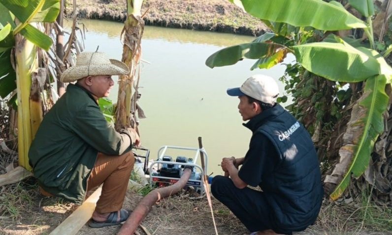 Kemarau Melanda, Pemkab Bekasi Kerahkan Pompa Air untuk Lahan Pertanian