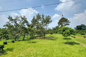 Sehubungan Bupati Bekasi Ade Kuswara Kunang, KPK Tinjau Glamping 1,5 Hektare di Subang Milik Polisi Lippo