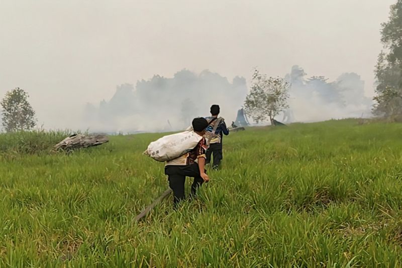 Perjuangan Tim Dishut Kalteng Tak Biasa, 3 Jam Naik Perah...