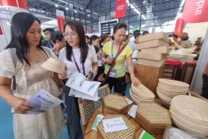 RI-Tiongkok Percepat IDC-CEPA, Persaingan Dagang Makin Sengit