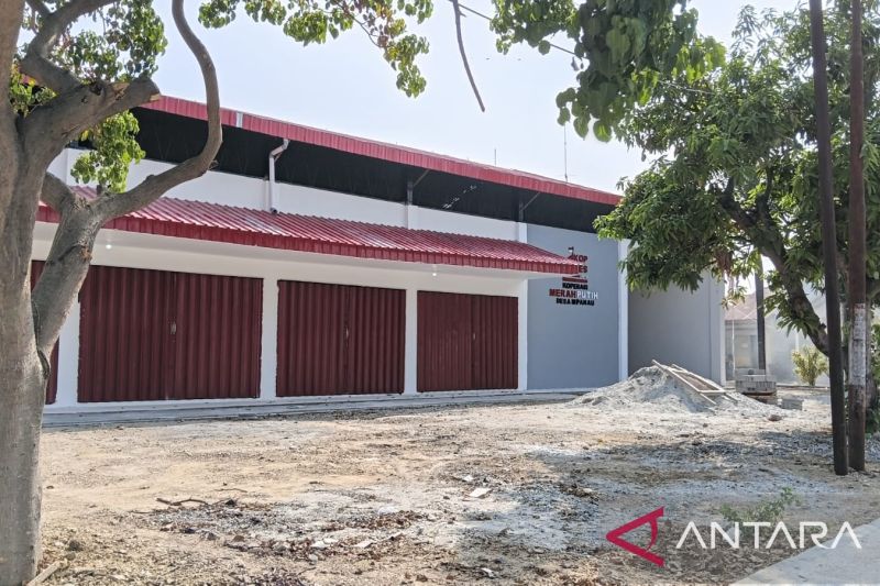 Tekan Pengangguran, Pemprov Sulteng Maksimalkan Peran Kopdes Merah Putih