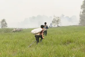 Tiga Jam Tembus Sungai Naik Kelotok, Perjuangan Nekat Tim Dalkarhutla Padamkan Karhutla Tahura Sebangau