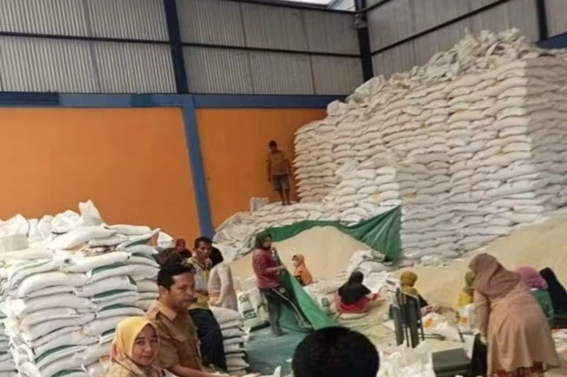 Akibat Efisiensi, Cadangan Beras Bima Turun dari 13,4 Ton Menjadi 6 Ton 