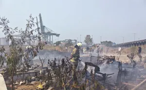 Anak Bermain Korek Api Diduga Picu Kebakaran Lahan di Jakarta Utara