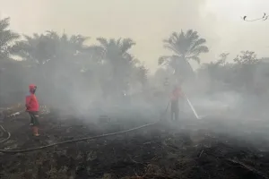 Kabut Asap Tak Kunjung Hilang, BMKG Kotim Ungkap Penyebabnya 