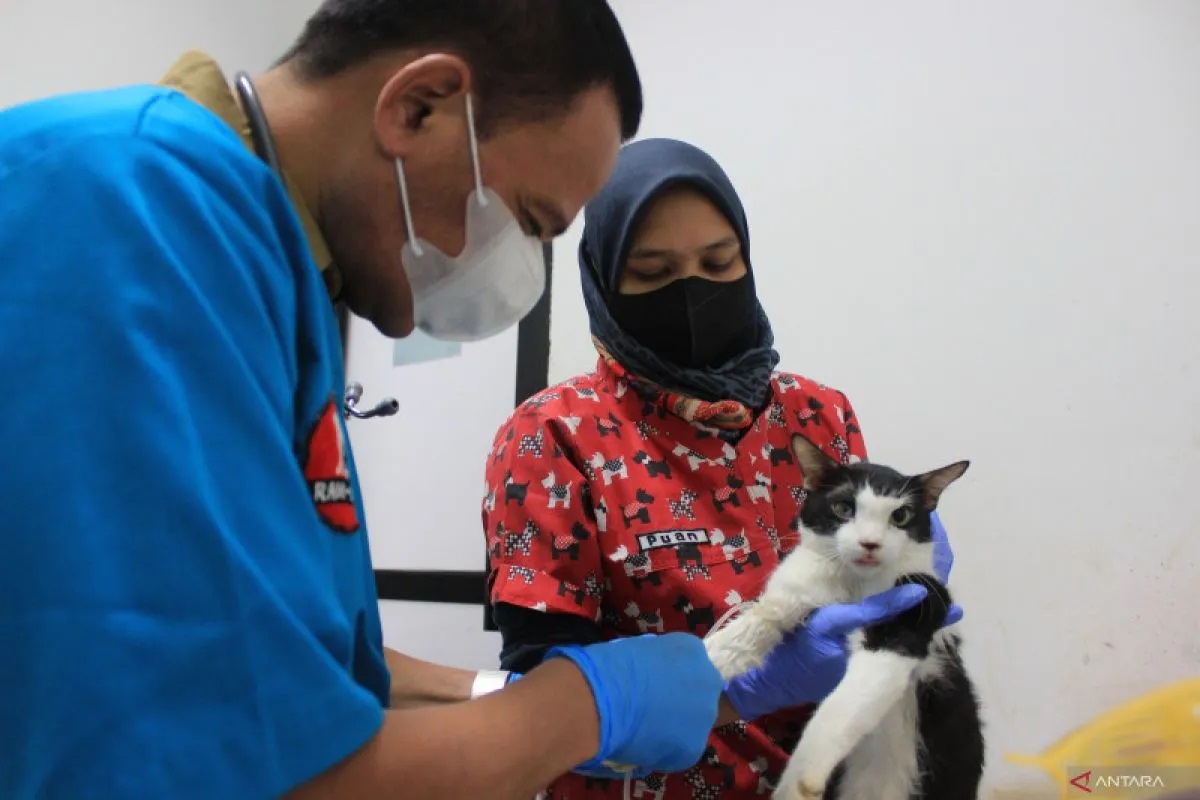 Kabar Gembira untuk Pecinta Hewan! Jakarta Tambah Lima Pu...