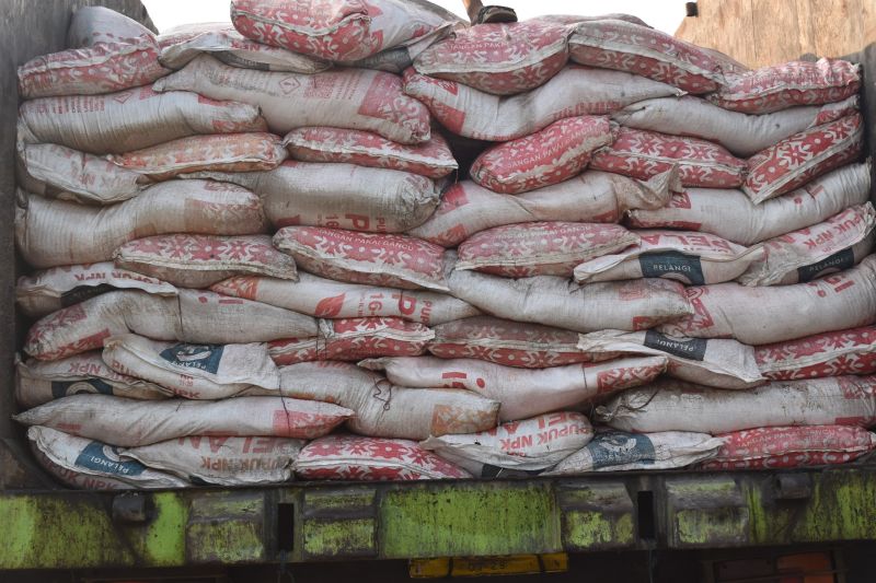 Tingkatkan Produksi Cengkih, Pemkab Kolaka Salurkan 37,5 Ton Pupuk Gratis 
