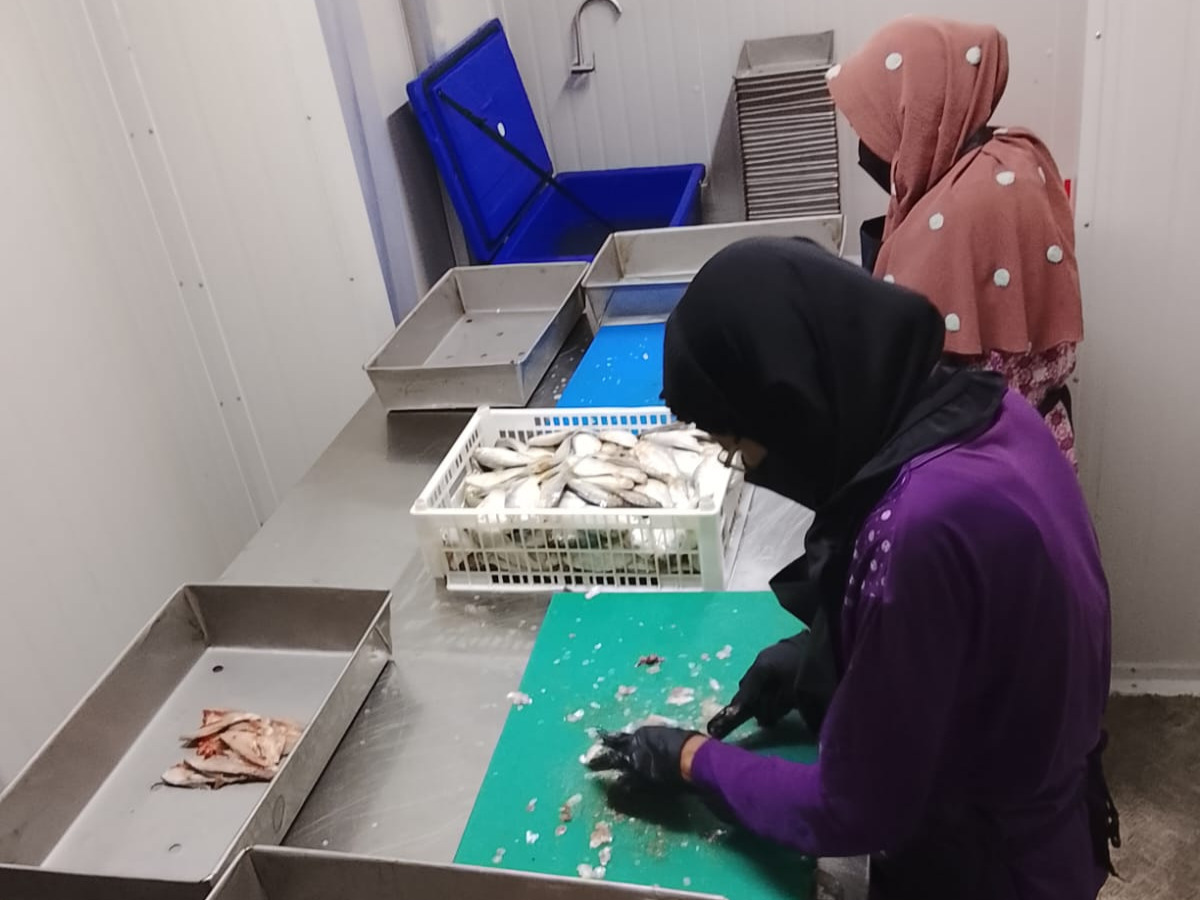 Dari Rp1.000 Jadi Rp14.000! KNMP Sulap Ikan Murah Jadi Cuan di Lampung