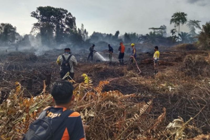 Kapuas Perpanjang Status Tanggap Darurat Kekeringan dan K...