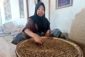 Kopi Sajang Dipacu, BI NTB Bidik Produksi dan Kualitas Makin Tinggi