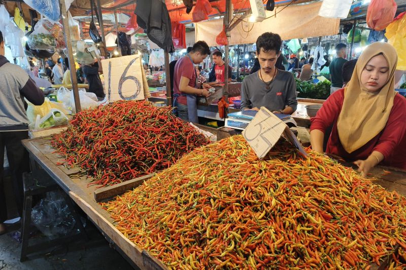 Lahan Kembali Produktif, Petani Kalbar Kejar Musim Tanam Hortikultura