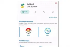 Cara Cek Desil Bansos 2026 Pakai NIK KTP, Klik cekbansos.kemensos.go.id