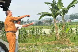 Dispertan Garut Siapkan Bantuan Benih Padi untuk 100 Hektare Sawah