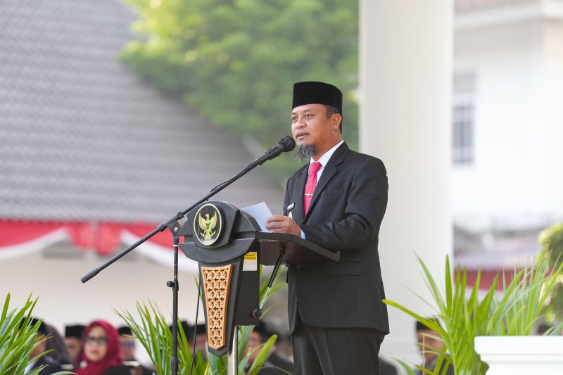 Gaji PPPK Dibayar APBN, Gubernur Sulsel Ungkap Dampaknya ...