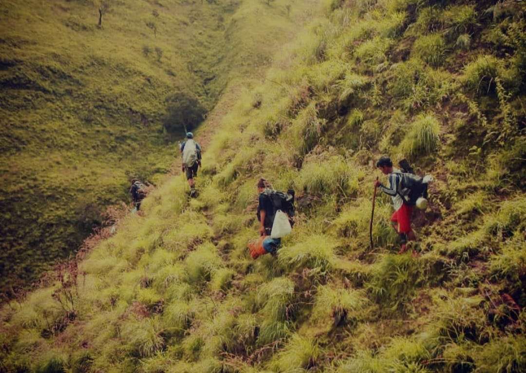 Jalur Pendakian Gunung Rinjani via Senaru Dibuka Lagi Pasca Karhutla 