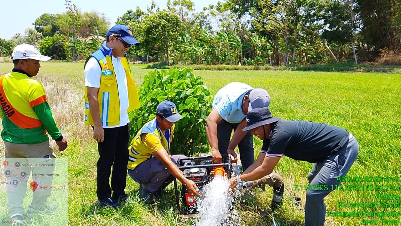 Sawah 120 Hektar di Jatim Terancam Kekeringan, Menteri PU Turunkan 13 Pompa Darurat!