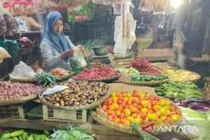 Tekan Kenaikan Harga, Pemkab Cianjur Gelar Gerakan Pangan Murah 