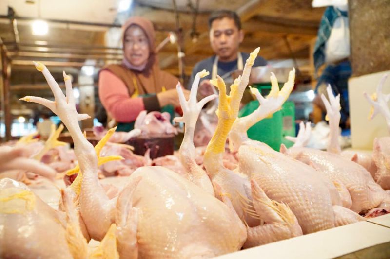 Bapanas Siapkan Subsidi Angkut untuk Jaga Kewajaran Harga...