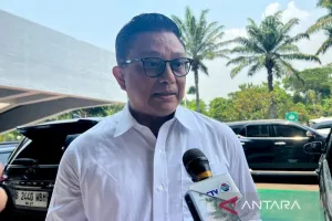 Jangan Panik! Beras Premium Ditarik, Bapanas Pastikan Stabilitas Pasokan Tetap Terjaga