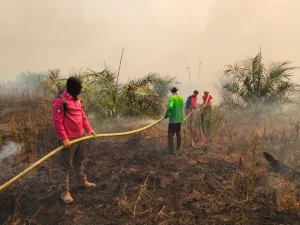 Karhutla di Desa Muser Paser Terbakar, Api Padam Setelah Lima Jam