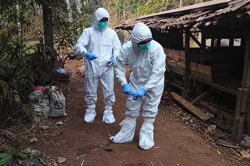 Kasus Antraks Ditemukan di Gunungkidul, Kementan Perkuat ...