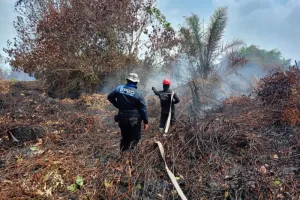 Kebakaran Gambut Penajam Belum Padam, BPBD Terus Berjibaku Jinakkan Api
