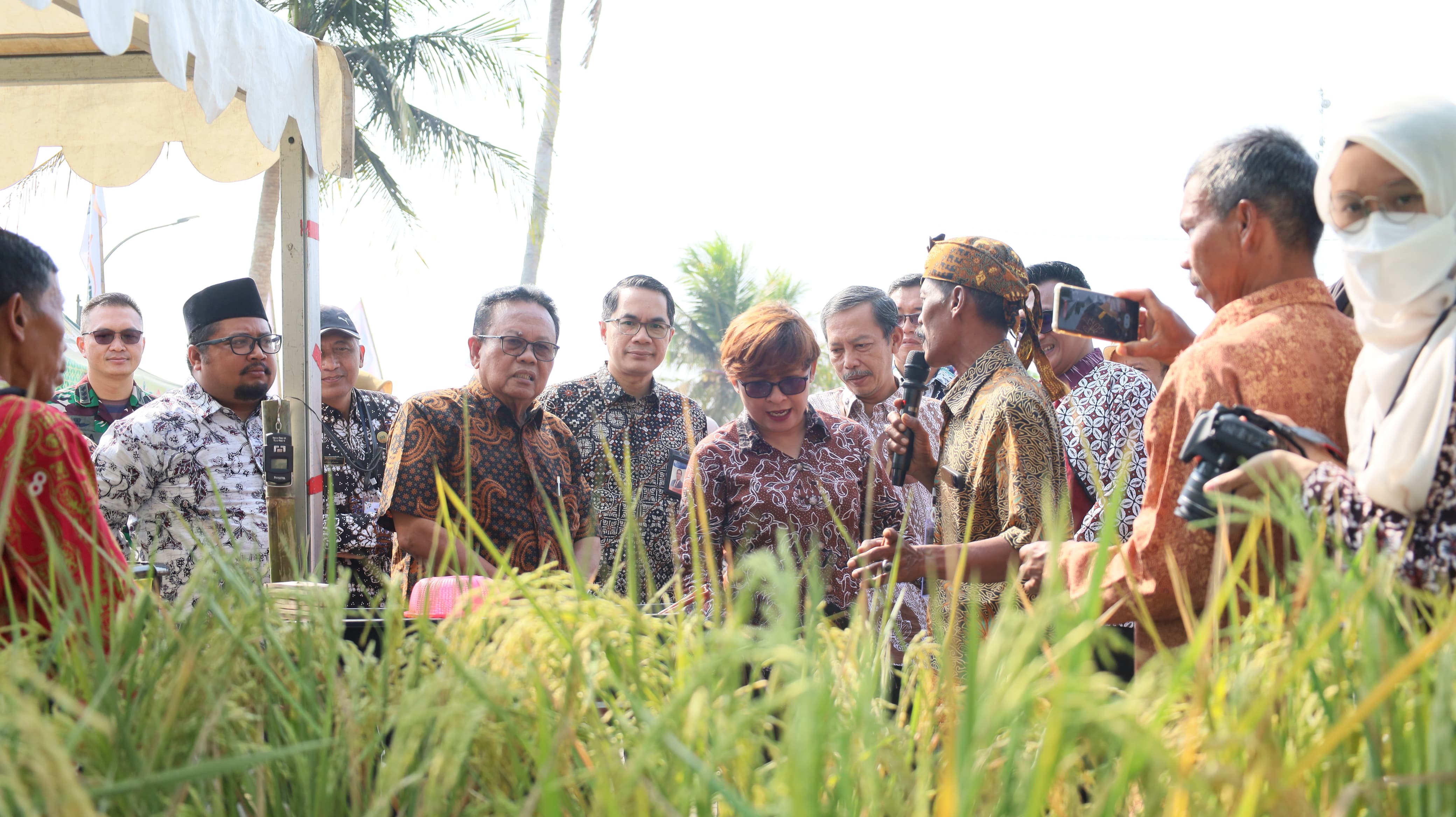 Lahan Sempit Disulap Jadi Sumber Pangan lewat Lumbung Mat...
