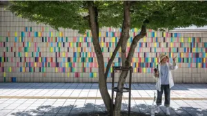 Pohon Tokyo Menyusut di Tengah Gelombang Panas Ekstrem, Warga Jepang Mulai Khawatir