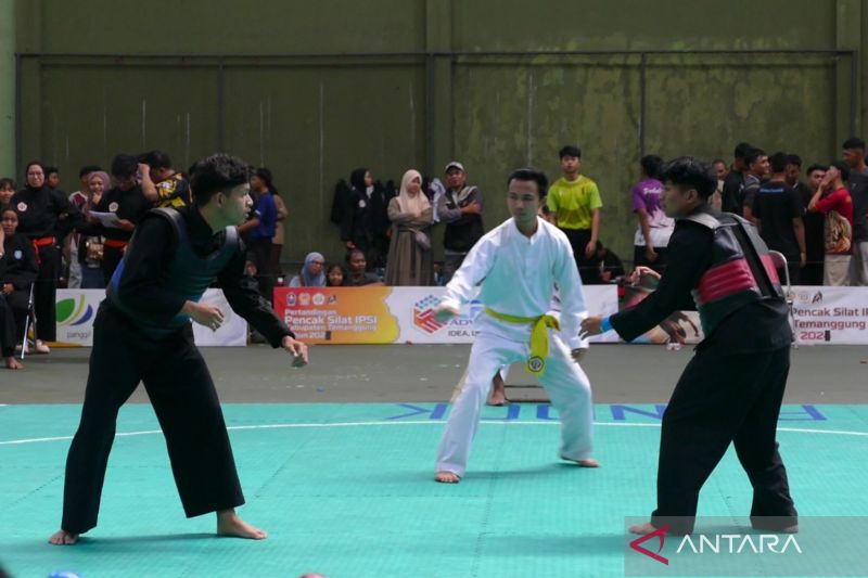 Ratusan Pesilat Serbu Temanggung, 580 Atlet Ikuti Kejuara...