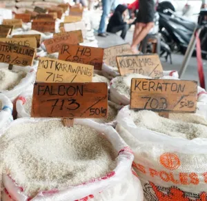 Beras Premium Langka di Ritel Modern, Bapanas: Di Pasar Tradisional Banyak! 