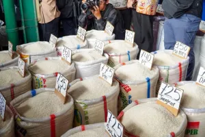 BPS Catat Harga Beras Masih Naik di 116 Kabupaten/Kota, Siapa yang Diuntungkan?