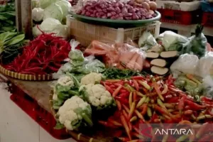 Harga Cabai Rawit Rp103.250/Kg, Telur Ayam Rp31.850/Kg
