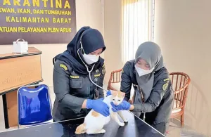 Karantina Kalbar Cegah Masuknya Rabies dari Perbatasan