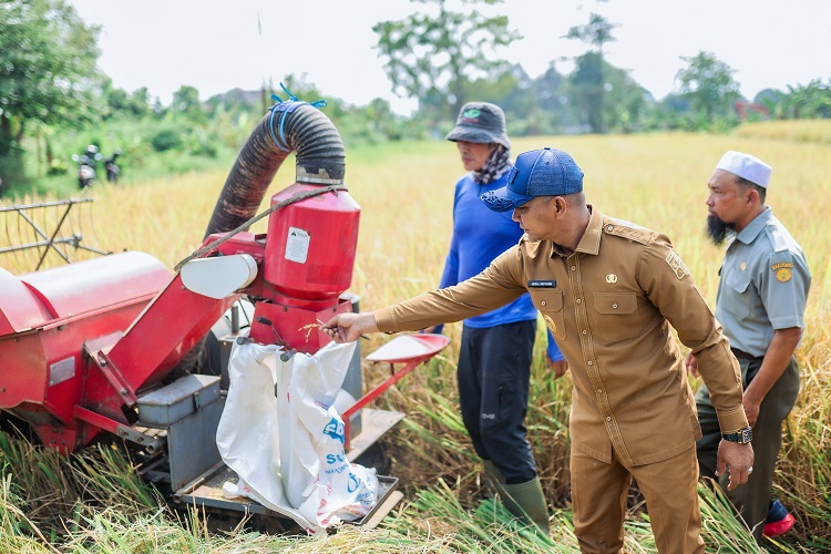 Pemkot Bogor: Panen Raya di Katulampa Diharapkan Bisa Duk...